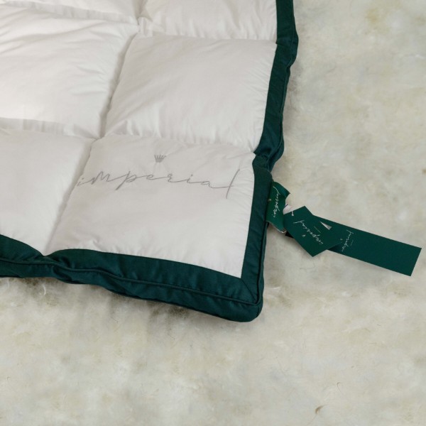 Фото - Набір ковдра полуторна + подушка MirSon № 10008 Imperial Satin Luxe всесезонна 140x205 Гусячий пух + 50x70 (2200010810486)